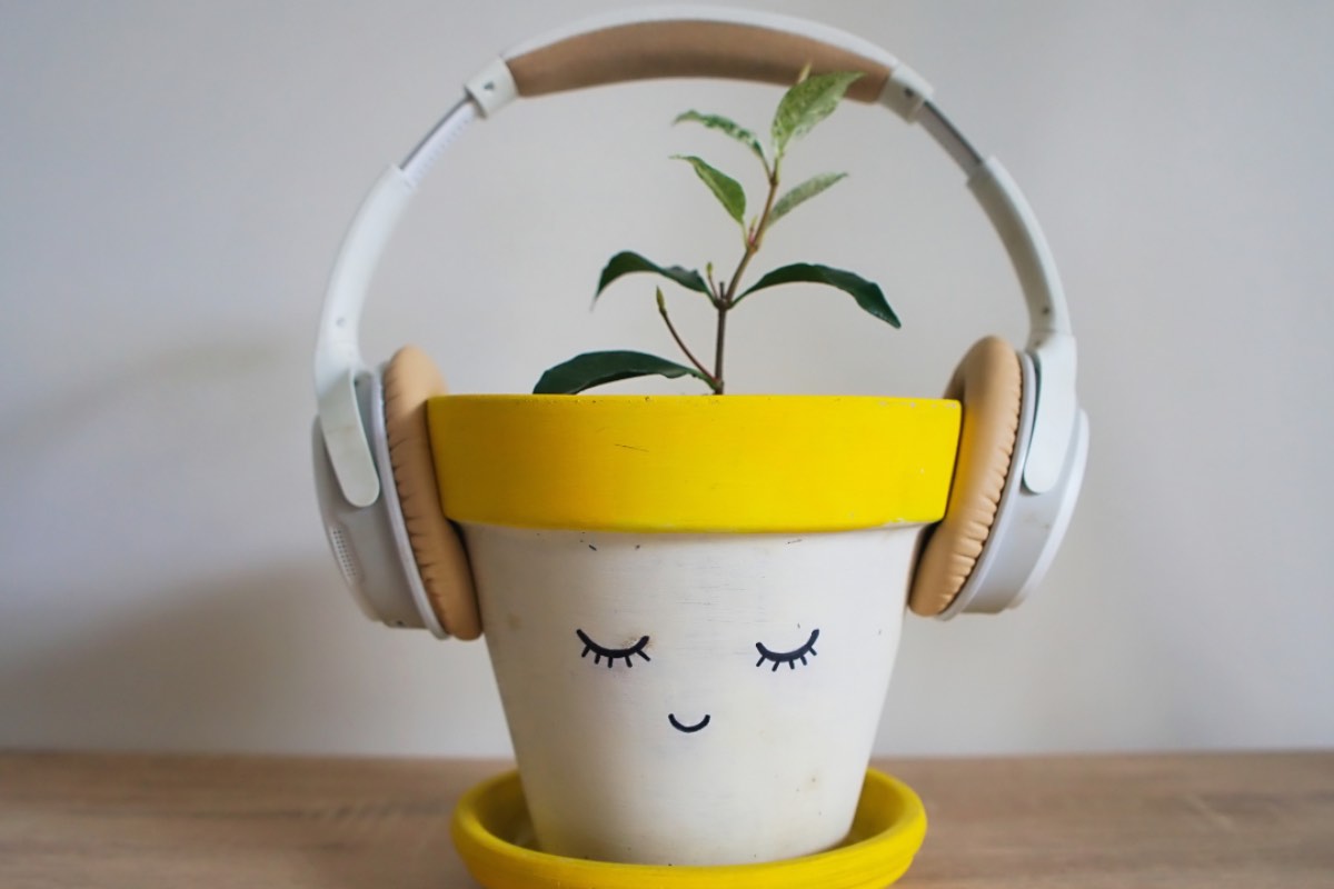 Vaso per piante con cuffie per la musica