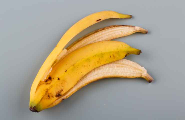 Bucce banane