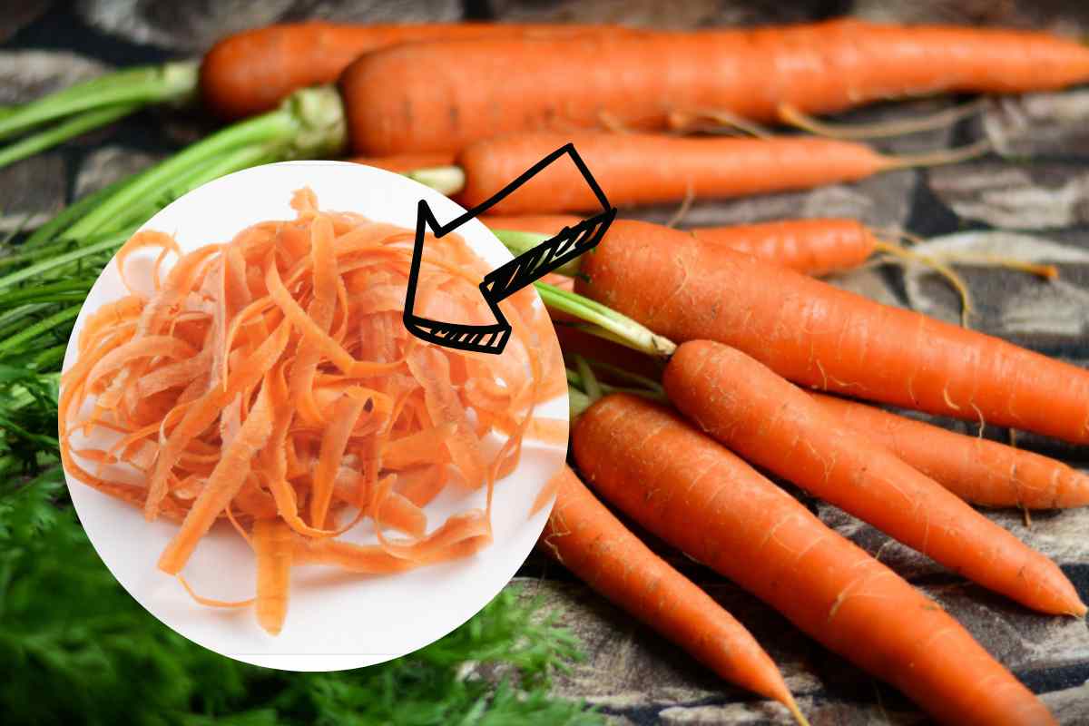 Bucce di carote cosa farci