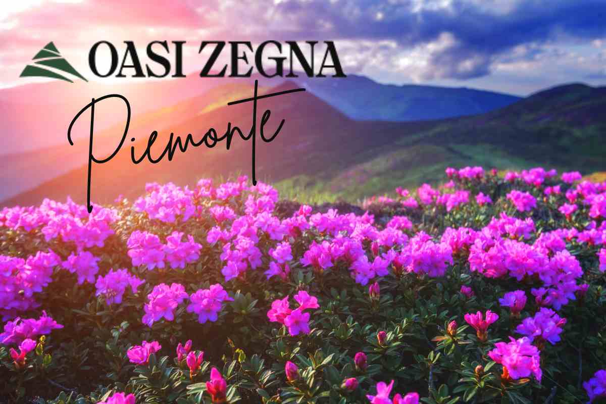 Piemonte oasi Zegna
