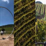 Il più grande labirinto tra le vigne in Italia