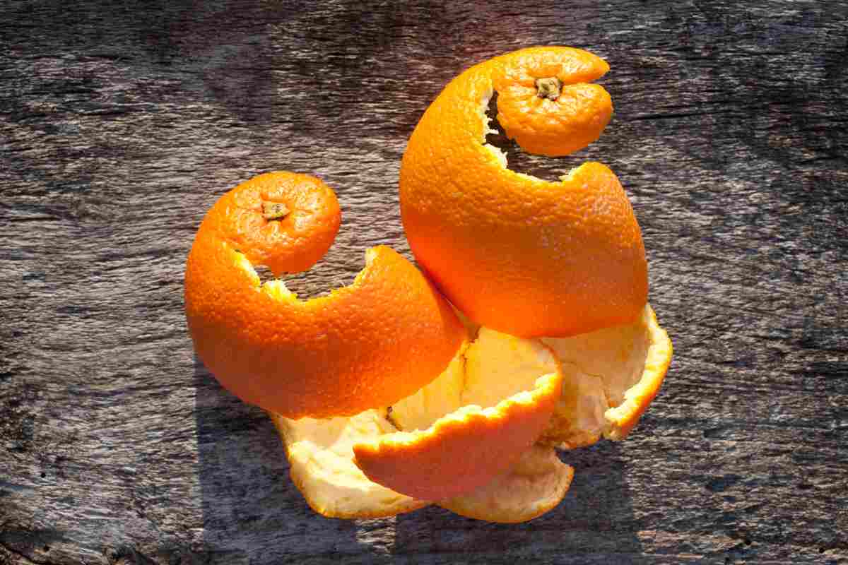 Bucce d'arancia