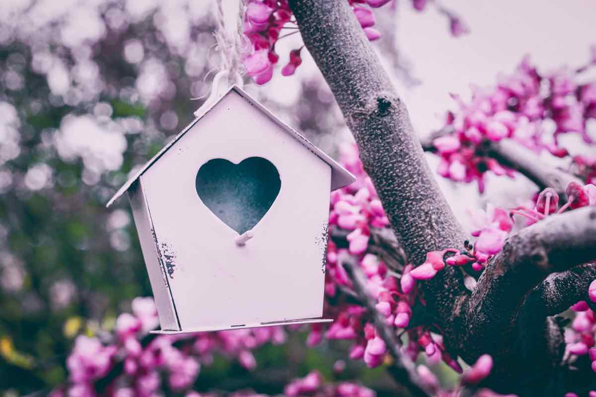 Romantica casetta per uccellini in legno bianco