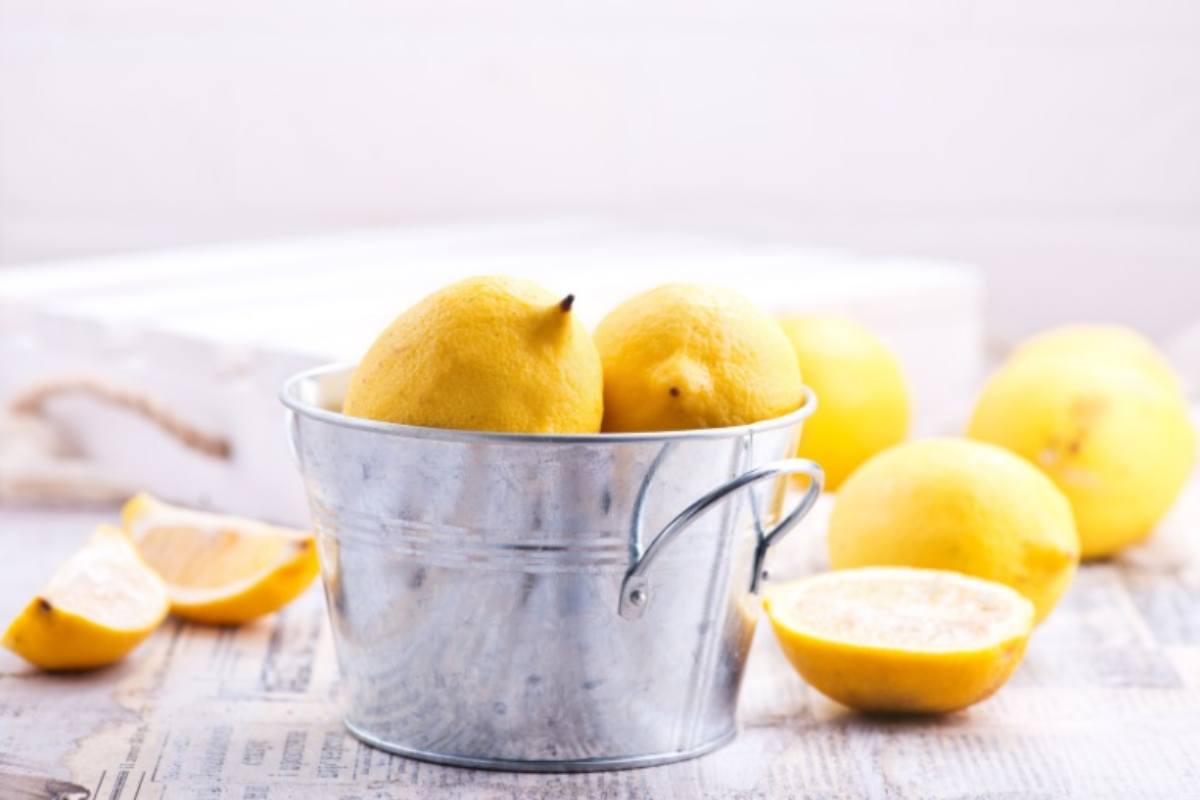 Limoni raccolti