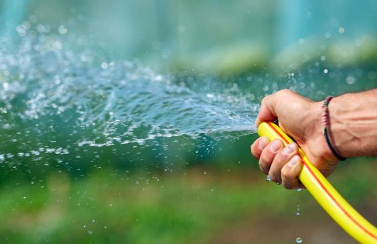 Persona che dà acqua alle piante 