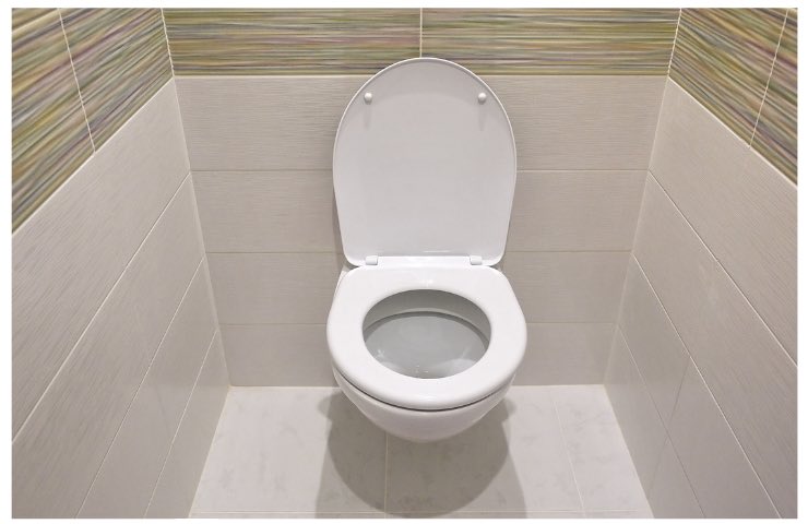 WC igienizzato