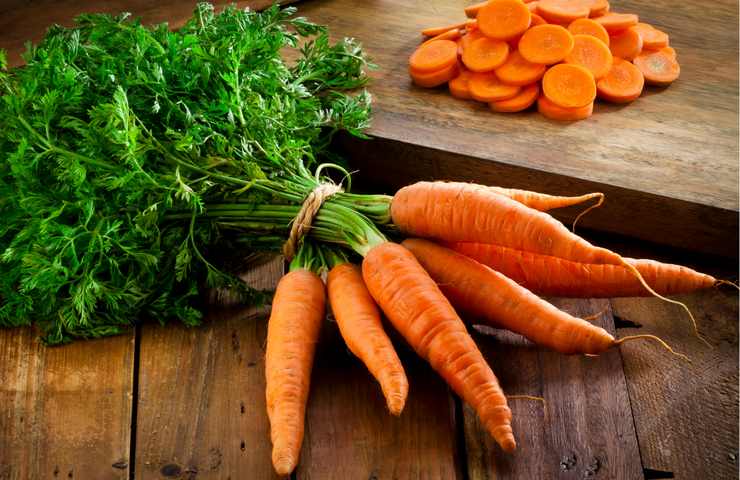 ceppo di carote