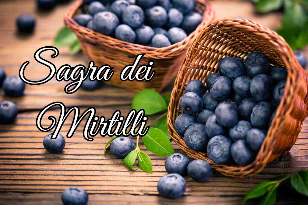 sagra dei mirtilli