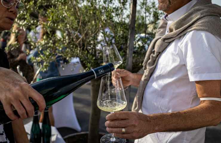 Degustazione calice di vino