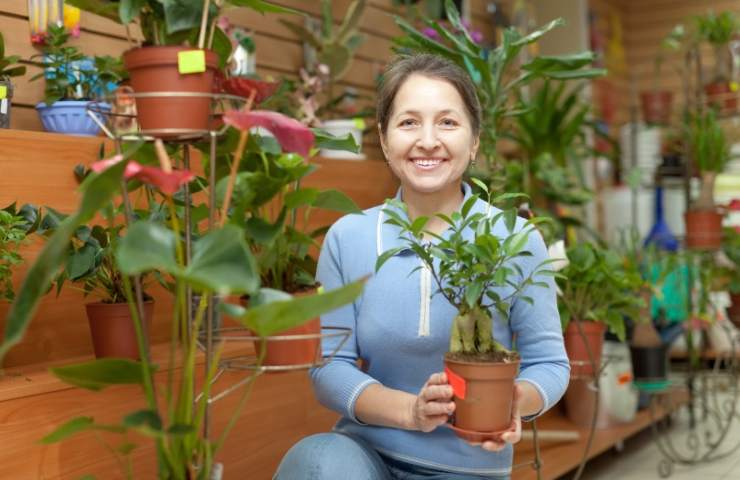 Donna con ficus bonsai 