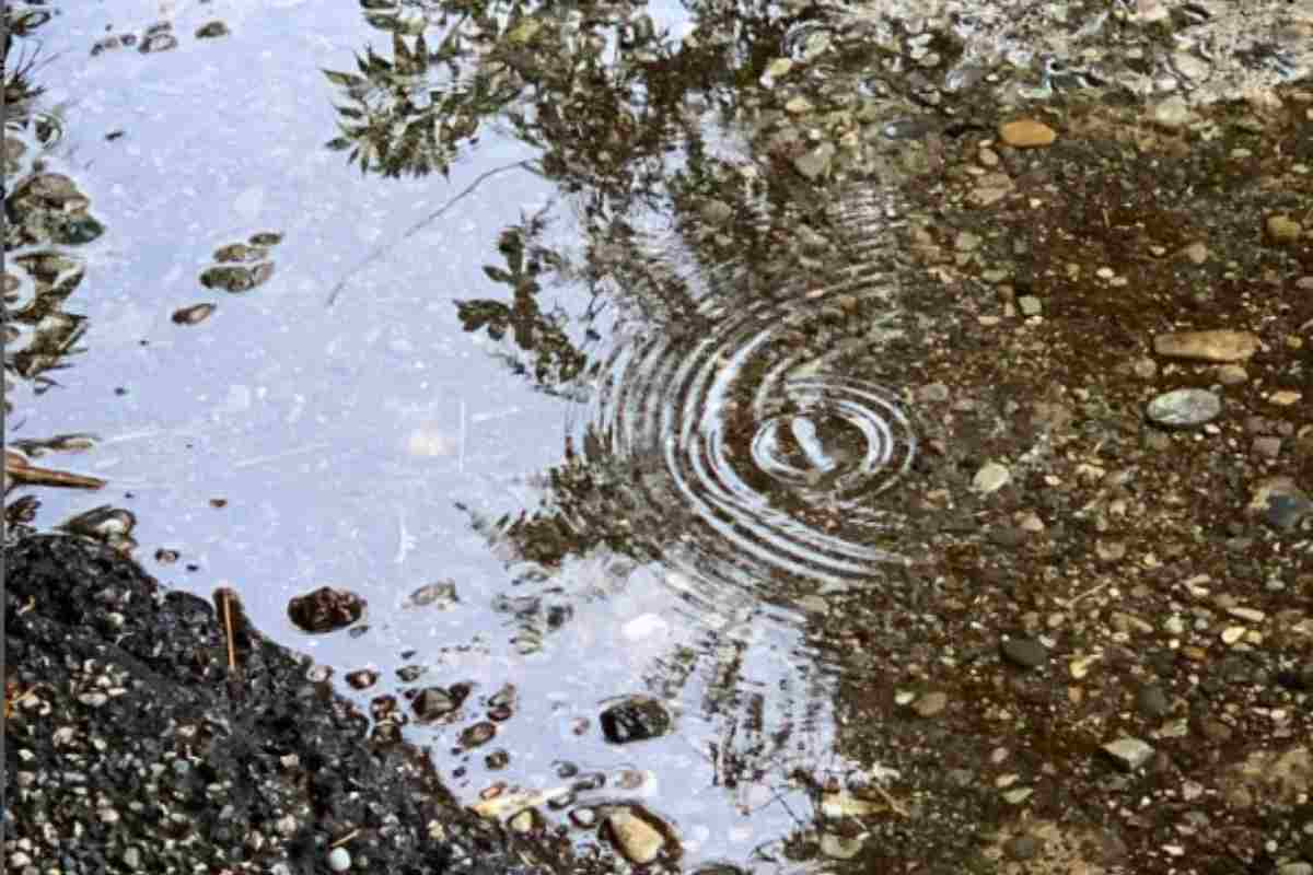 Meteo pioggia